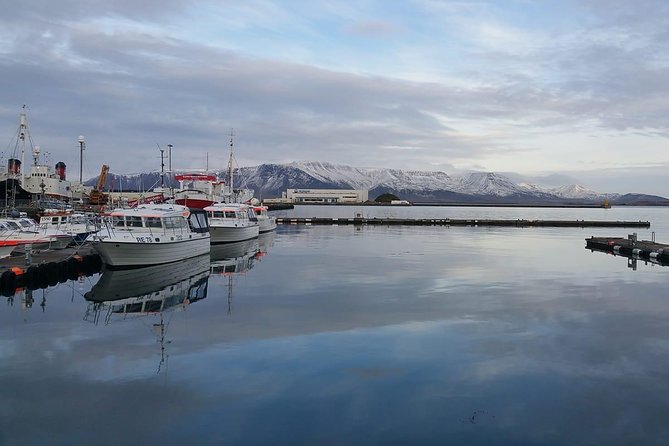Reykjavik Main Sights and Hidden Spots: A Self-Guided Audio Walk - How This Reykjavik Audio Walk Works (VoiceMap, Offline, GPS)
