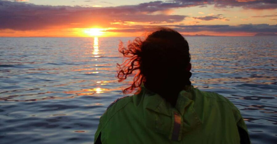 Reykjavík: Midnight Sun Whale Watching Cruise - Key highlights you’ll care about
