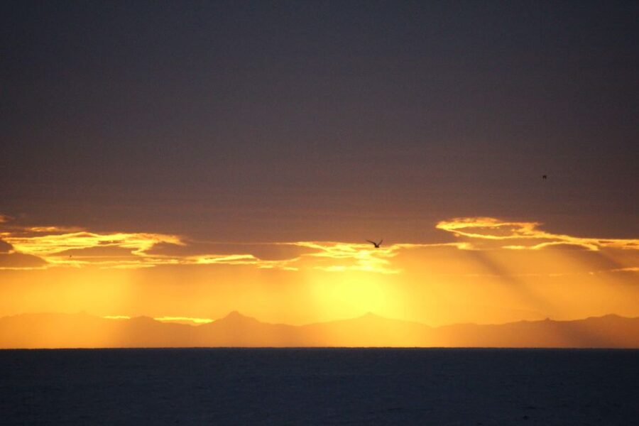 Reykjavík: Midnight Sun Whale Watching Cruise - Faxaflói Bay whale search: what you’re really paying for