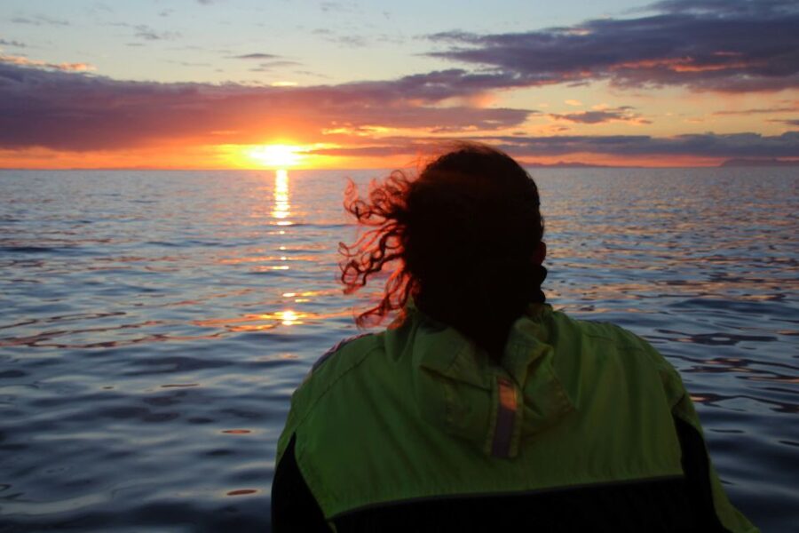 Reykjavík: Midnight Sun Whale Watching Cruise - What whales might look like at sea, and how to spot them faster