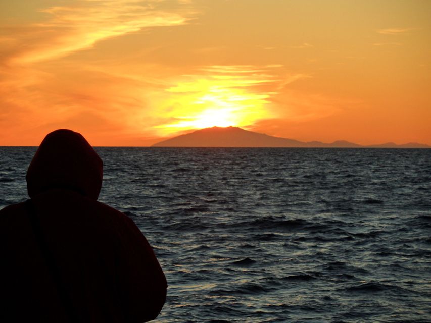 Reykjavik: Midnight Sun Whale Watching Tour - What You Might See Off Reykjavik: Whales, Dolphins, Porpoises, and Birds