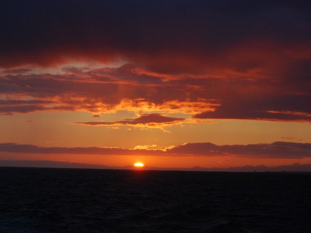 Reykjavik: Midnight Sun Whale Watching Tour - The Whale-First Approach: Constant Speed and Research Support