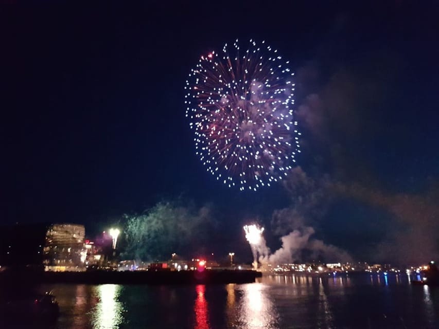 Reykjavík: New Year's Eve Northern Lights Yacht Cruise - Key things I’d watch for on this cruise