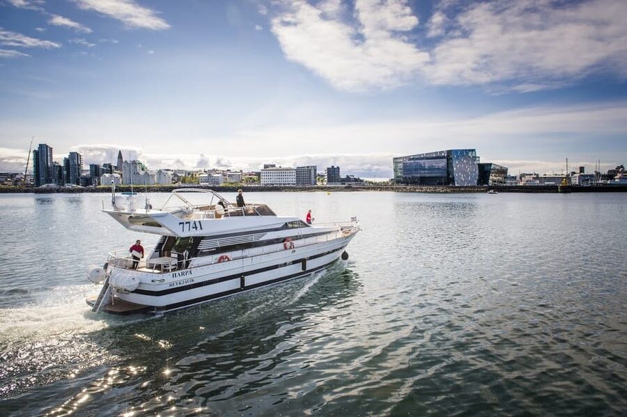 Reykjavík: New Year's Eve Northern Lights Yacht Cruise - Videy Island and Imagine Peace: a calm moment before the chaos