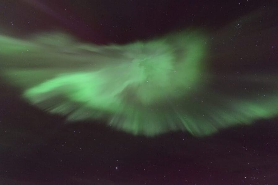 Reykjavík: New Year's Eve Northern Lights Yacht Cruise - What you might add to the story: whales and lucky surprises