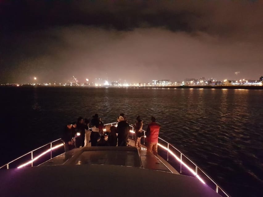 Reykjavík: New Year's Eve Northern Lights Yacht Cruise - Who should book this cruise, and who should skip it
