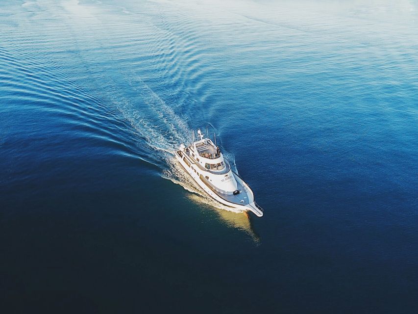 Reykjavik: New Years Fireworks Midnight Cruise - Champagne at Midnight, Then the Onboard Vibe