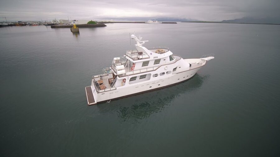 Reykjavik: New Years Fireworks Midnight Cruise - What to Bring for a Deck-First Night
