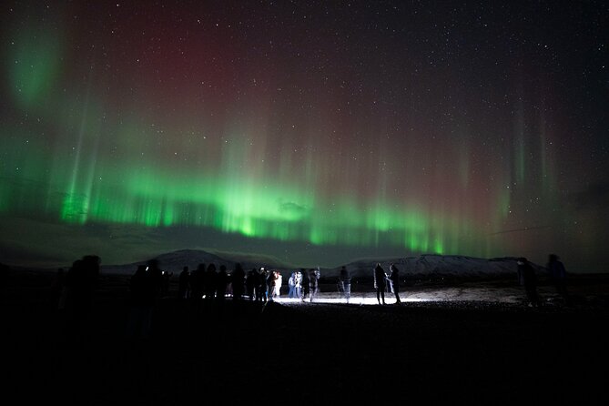 Reykjavik: Northern Lights Comfort Coach with Surprise - Price and Value: 67.50 for Comfort, Guidance, Hot Drinks, and a Bonus