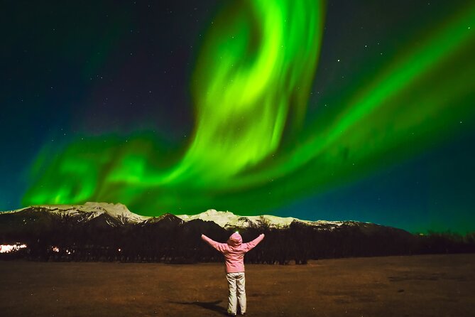 Reykjavik: Northern Lights Comfort Coach with Surprise - Pickup and Warmth: The One Logistics Part You Should Not Ignore