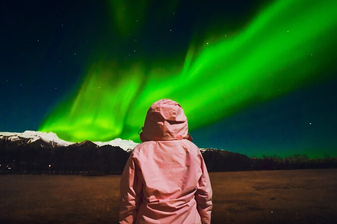 Reykjavik: Northern Lights Comfort Coach with Surprise - The 4-hour flow: pickup, sightseeing stops, then aurora repositioning
