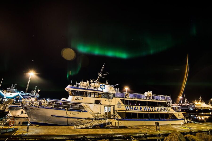Reykjavik: Northern Lights Guided Boat Tour - Weather, Wind, and the Backup Plan If the Sea Run Changes