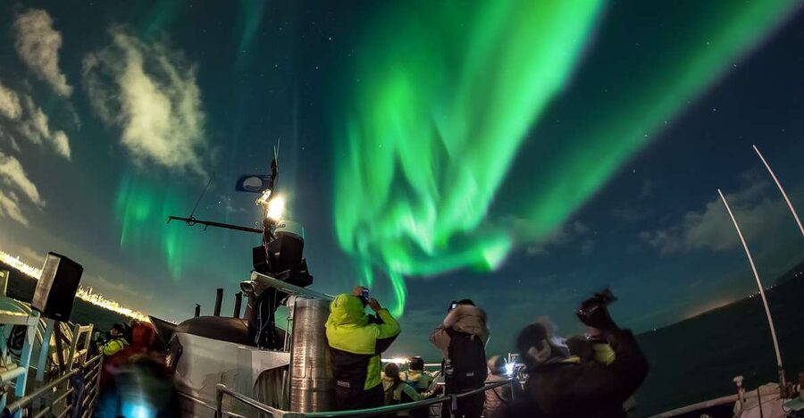 Reykjavik: Northern Lights Guided Boat Tour - The Aurora Hunt at Sea: How the 15 to 30 Minutes Builds Your Odds