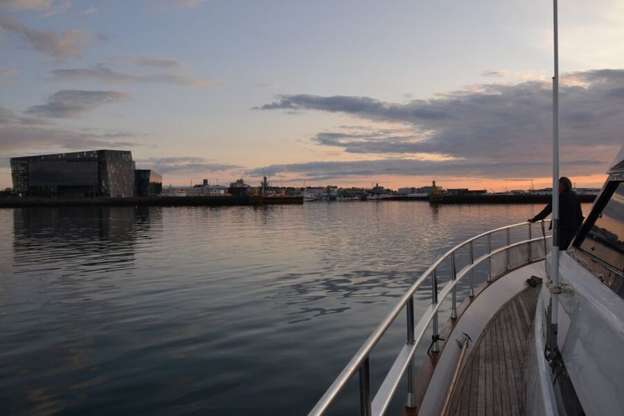 Reykjavik: Northern Lights Motor Yacht Cruise - Check-in at Old Harbor: what to do so you don’t waste time