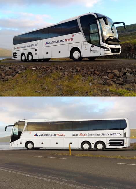 Reykjavik: Northern Lights Tour with Chinese Guide冰岛雷市中文极光团 - Should You Book This Reykjavik Northern Lights Tour?