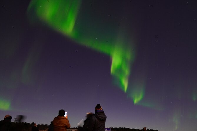 Reykjavik Northern Lights Tour with Pro Aurora Photos Small Group - Pro Aurora Photos: Getting Great Shots Even When You Are Not a Photographer