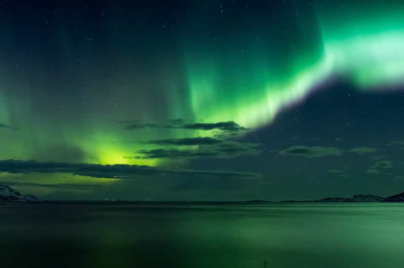 Reykjavik: Northern Lights with Icelandic Treats - Key Things I’d Bet You’ll Enjoy