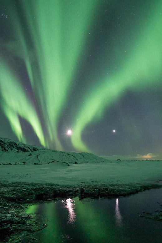 Reykjavik: Northern Lights with Icelandic Treats - Why a Minibus Northern Lights Tour Works in Reykjavik