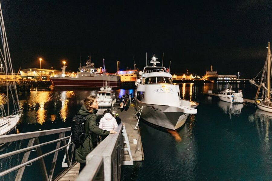 Reykjavik: Northern Lights Yacht Tour - Price and value for a Reykjavik aurora yacht cruise at $93