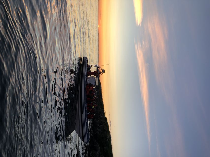 Reykjavik: Premium Whale and Puffin Watching Evening Tour - The puffin hunt near Reykjavik’s islands