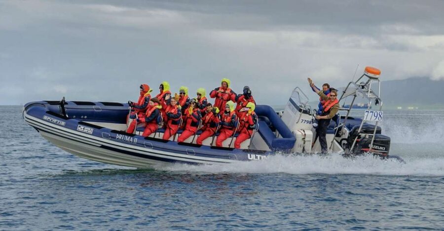 Reykjavik: Premium Whale Watching with Flexible Ticket - What I like: comfort plus real-world chances