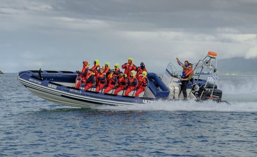 Reykjavik: Premium Whale Watching with Flexible Ticket - One drawback to know up front