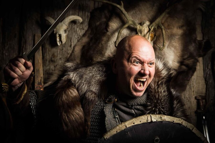 Reykjavik: Private Icelandic Viking Age Walking Tour - Key highlights I’d circle before you book