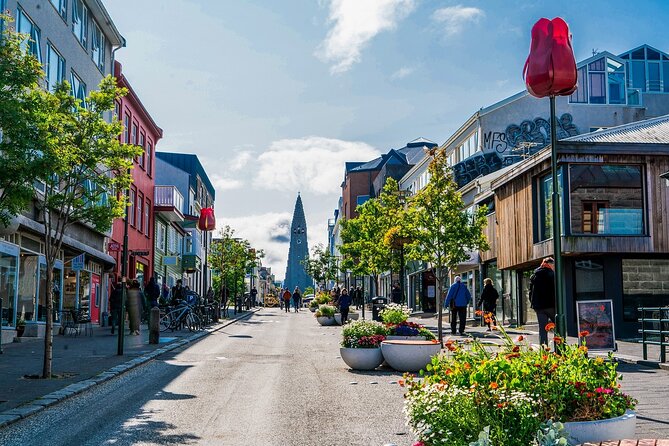 Reykjavik Private Walking Tour With A Professional Guide - Who this tour suits best in Reykjavik