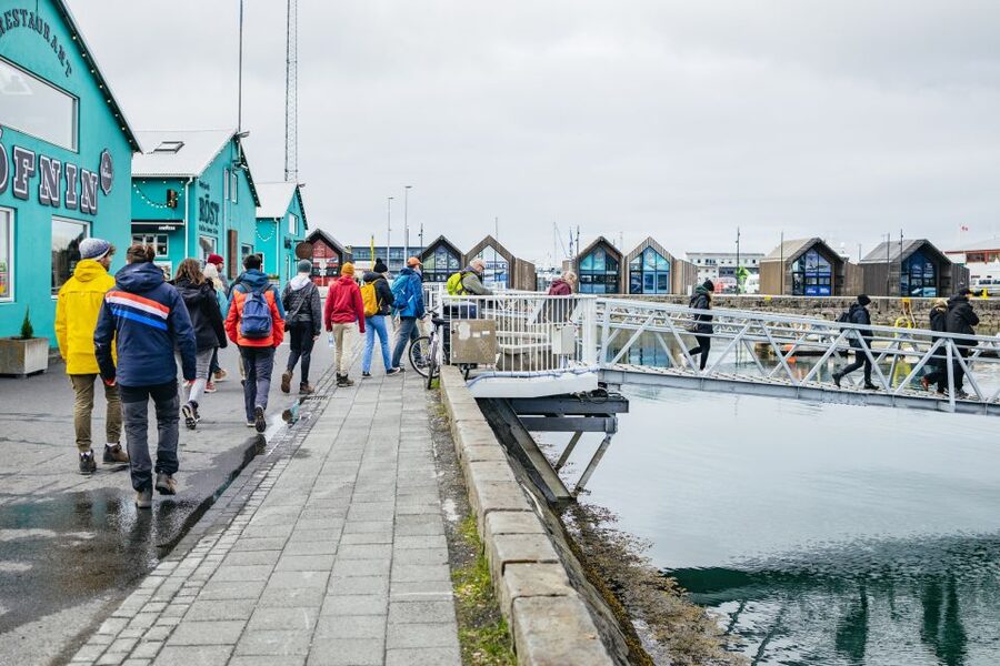 Reykjavik: Puffin Watching Boat Tour - Who this Reykjavik puffin boat tour is best for