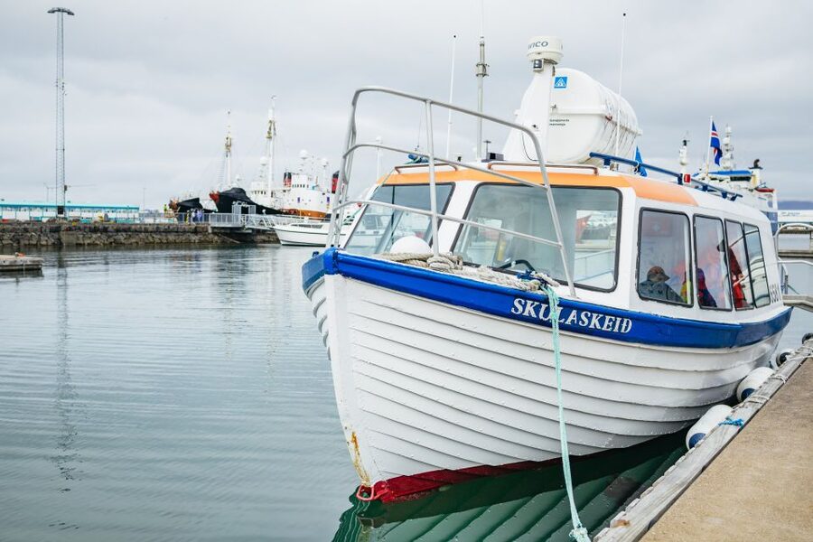 Reykjavik: Puffin Watching Boat Tour - Guides and the vibe: humor, facts, and those Iceland-style stories