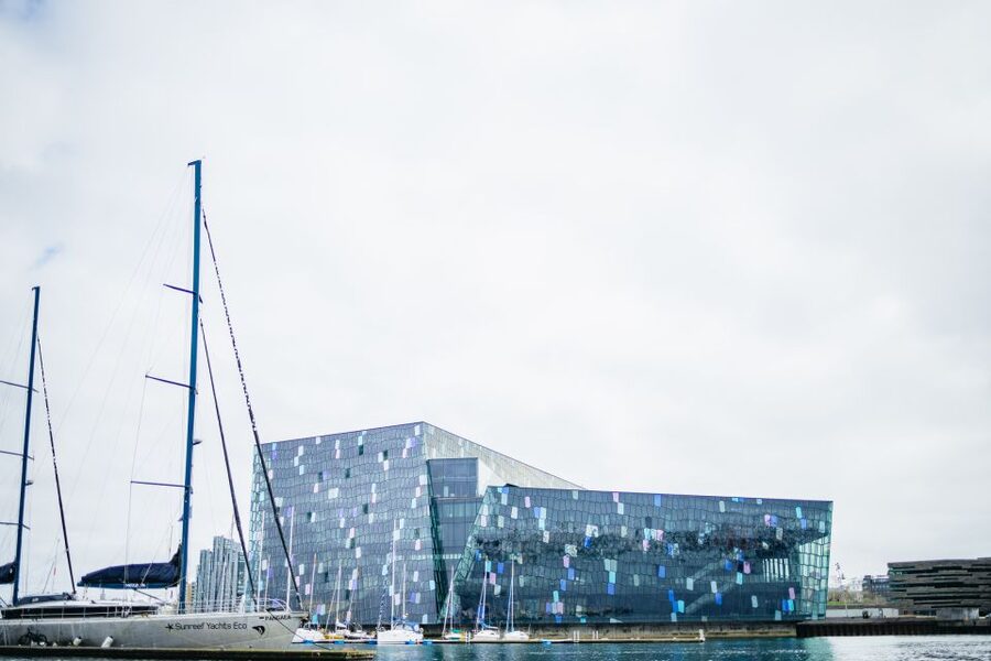 Reykjavik: Puffin Watching Boat Tour - Price and value: is $64 for one hour fair?