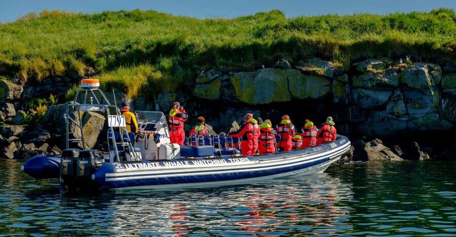 Reykjavik: Puffin Watching Tour - Key Things I’d Book This For