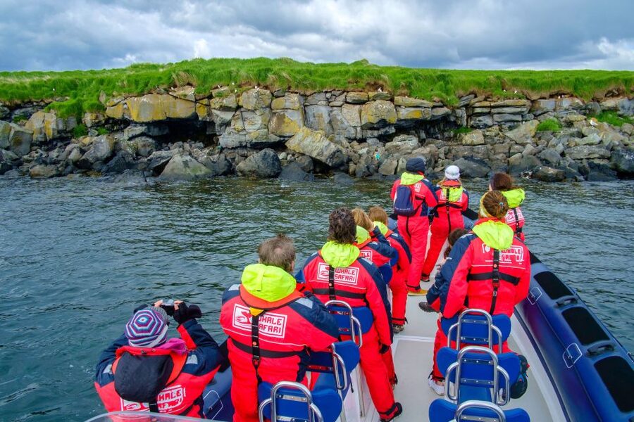 Reykjavik: Puffin Watching Tour - Nesting Season Notes: What You’re Looking For Between May and August
