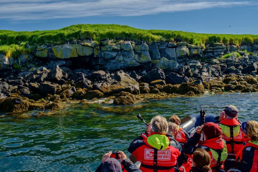 Reykjavik: Puffin Watching Tour - Where the Boat Goes: Lundey Island, Sea Cliffs, and Inlet Views