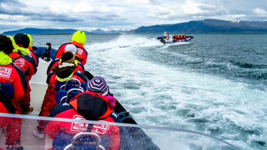 Reykjavik: Puffin Watching Tour - Photo Reality Check: Getting Shots From a Moving RIB