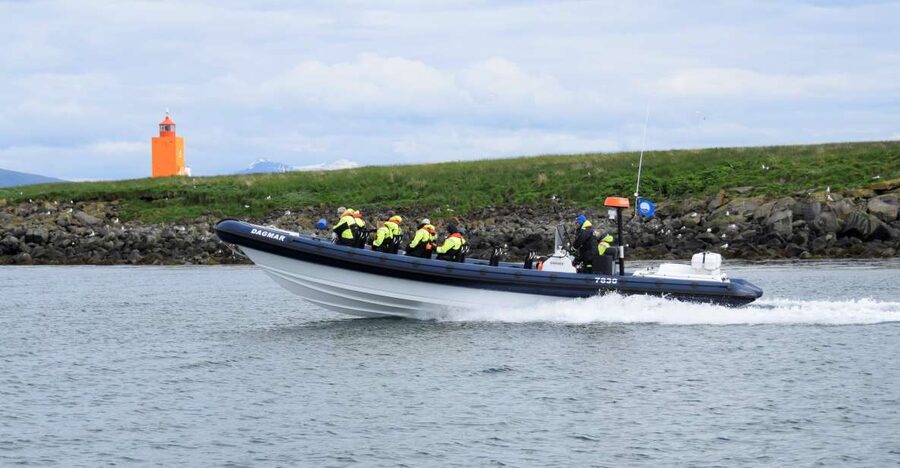 Reykjavik: Puffin Watching Tour by RIB Speedboat - Key Highlights You Will Actually Care About