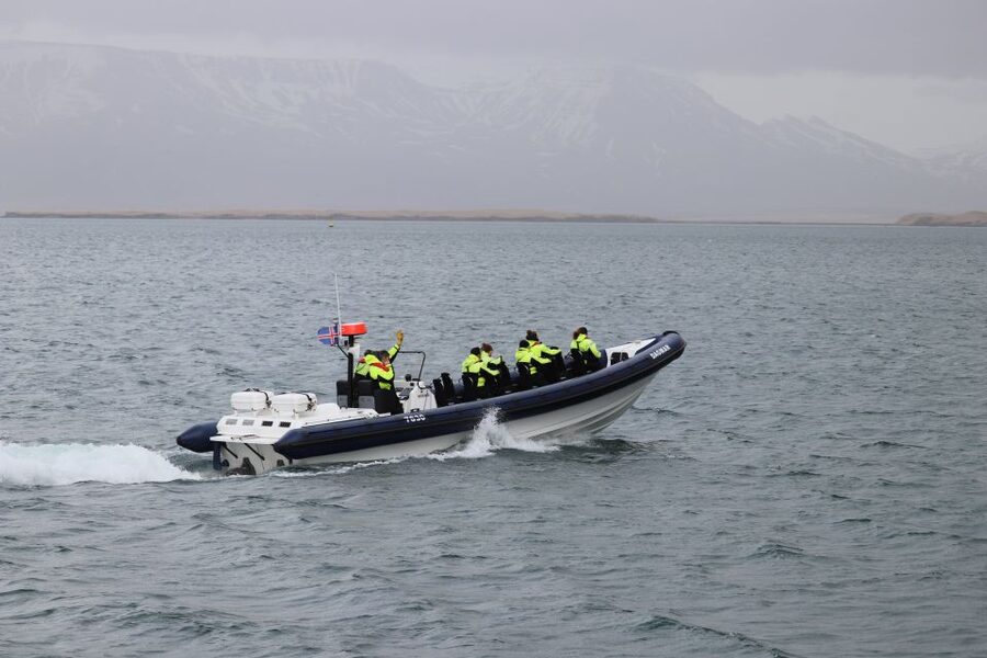 Reykjavik: Puffin Watching Tour by RIB Speedboat - Other Birds You Might Spot Beyond Puffins
