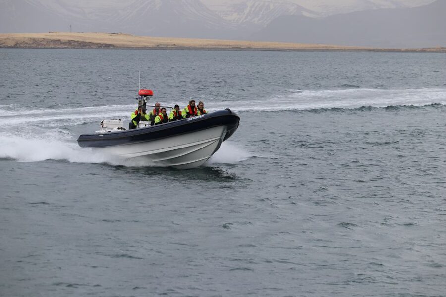 Reykjavik: Puffin Watching Tour by RIB Speedboat - Weather, Waves, and Who Should Skip This