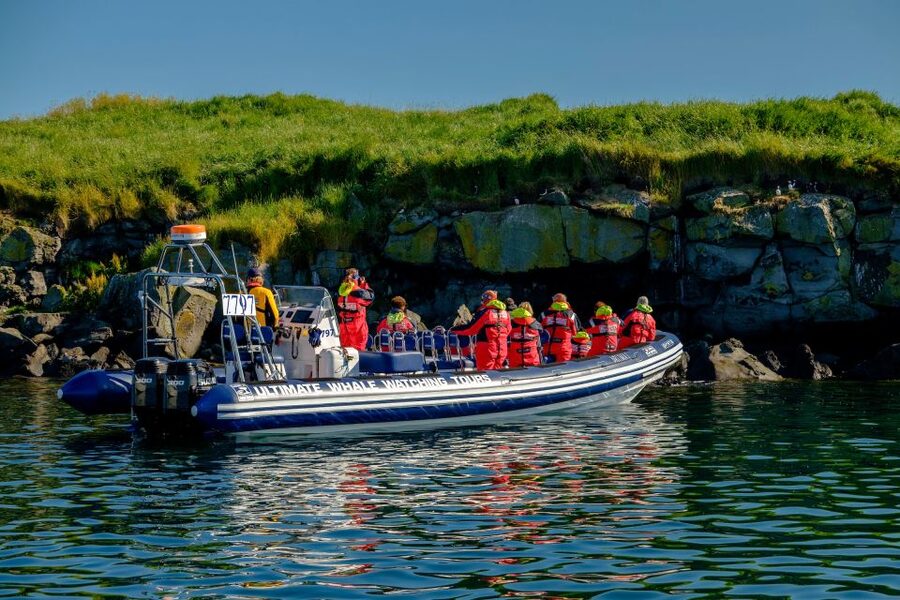 Reykjavik: Puffin Watching Tour - Old Harbour Departure and the 15-Minute Sail to the Islands