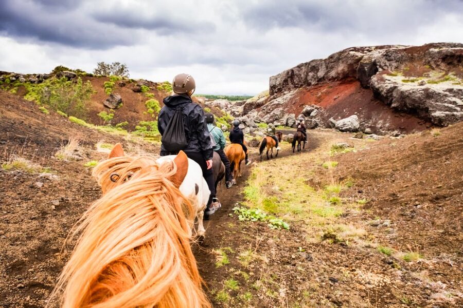 Reykjavik: Red Lava Horse Riding Tour - Key points before you go