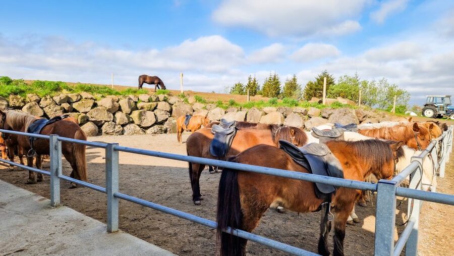 Reykjavik: Red Lava Horse Riding Tour - What You Get Included, and What You Must Bring