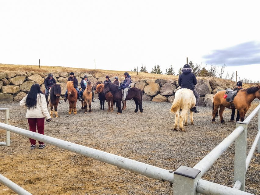 Reykjavik: Red Lava Horse Riding Tour - Price and Value: How $142 Adds Up for a Half Day