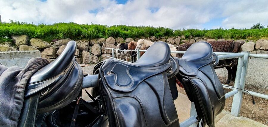 Reykjavik: Red Lava Horse Riding Tour - Who This Tour Fits Best (and Who Should Skip It)