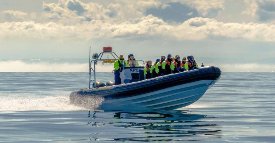 Reykjavík: RIB Speed-Boat Puffin Watching Tour - Getting Close to Puffins Without Trying to Outrun Nature