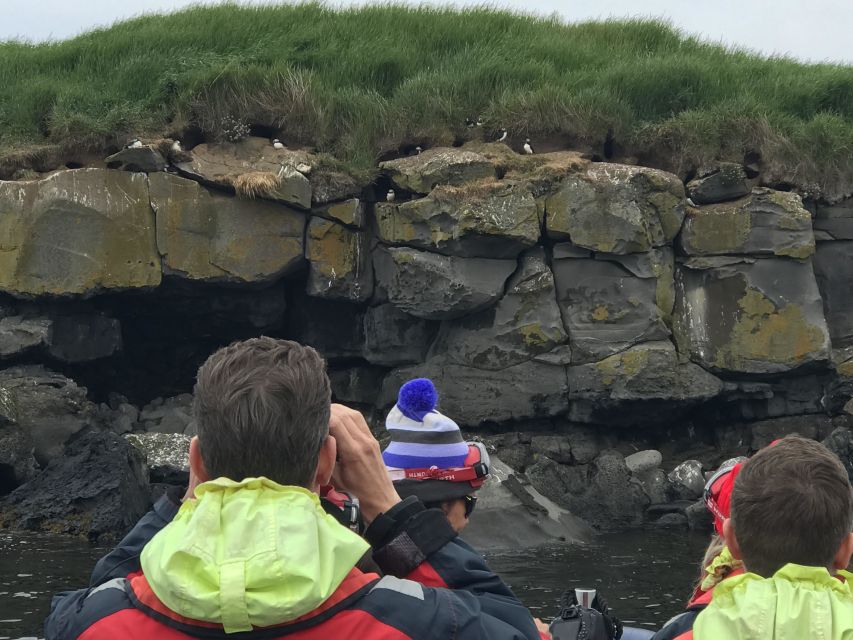 Reykjavík: RIB Speed-Boat Puffin Watching Tour - The Guide Experience: Education That Adds Meaning