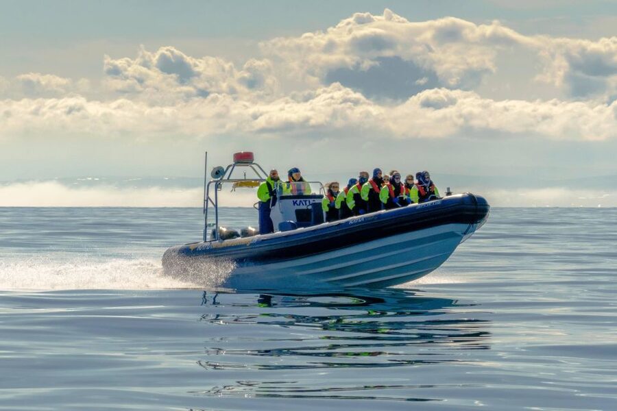 Reykjavík: RIB Speed-Boat Puffin Watching Tour - Who This Tour Fits Best (And Who Should Skip It)