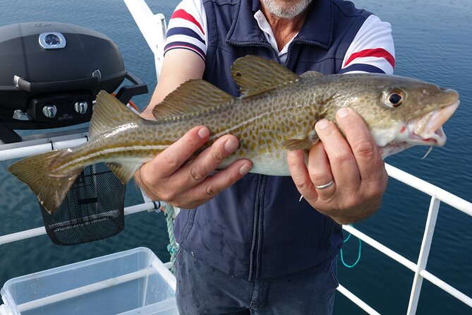 Reykjavik's Finest Catch: Guided Sea Angling Tour for All Levels - Hlésgata 1: Where You Start Fishing for Real