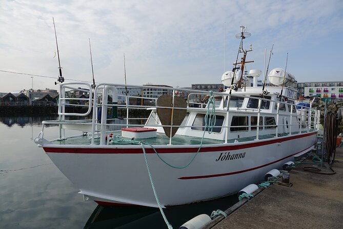 Reykjavik's Finest Catch: Guided Sea Angling Tour for All Levels - Views You Get by Chance, Not by Script