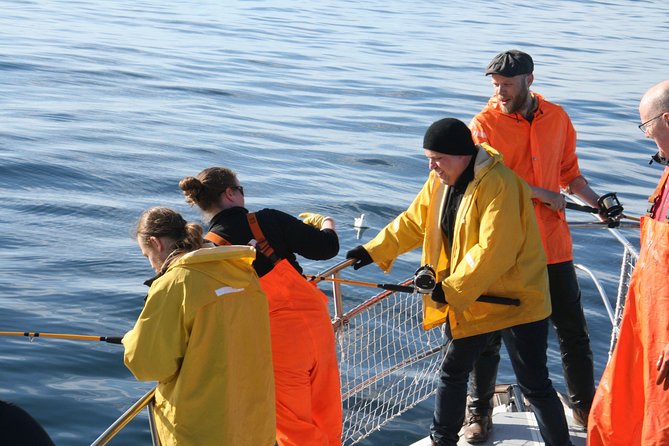 Reykjavik Sea Angling Gourmet - Fishing Technique in Plain English: Drift, Drops, and Watching the Line