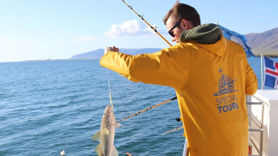 Reykjavik: Sea Fishing Boat Tour & BBQ with the Day's Catch - Who should book this sea fishing and BBQ tour?
